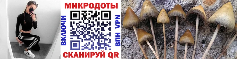 Псилоцибиновые грибы MAGIC MUSHROOMS  ссылка на мегу tor  Зубцов 